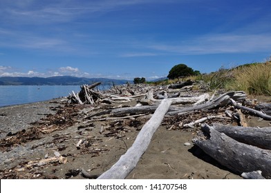 Kapiti Island Beach