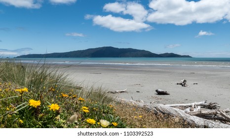 Kapiti Island, New Zealand