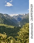 Karakol Gorge, Summer natural landscape. Mountain range, dense coniferous forest and snow capped peaks. Travel destination in Kyrgyzstan, Kirgiziya Mountains. Scenery, hight point of view