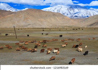 Karakoram Highway. A Famous Landscape On The Karakoram Highway In Pamir Mountains, Akto County,Kizilsu Kirghiz Autonomous Prefecture, Xinjiang, China.