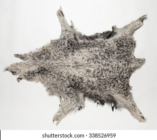 Karakul Pelt Isolated On White Background