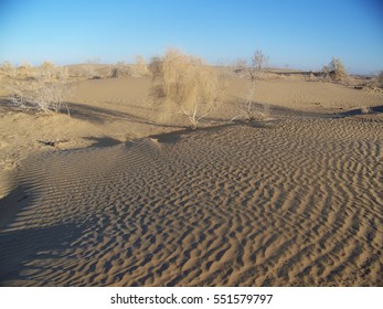 Karakum Desert