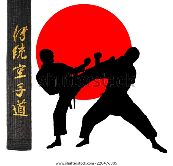 Japanese Flag Martial Arts Pin 