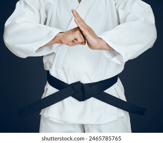 Karate, hands and person for greeting in studio for master, exercise or discipline with black belt. Man, martial arts or professional fighter in dojo for sport, expertise or self defense or taekwondo - Powered by Shutterstock