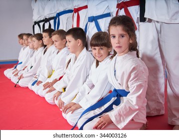 Karate Kids Martial Arts Training Stock Photo 344003084 