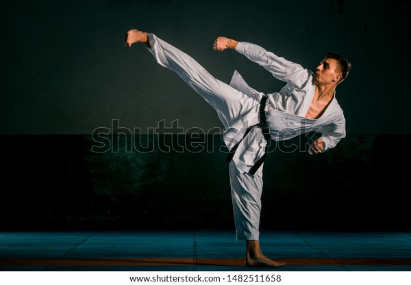 Karate Man Posing On Dark Background Stock Photo (Edit Now) 1482511658