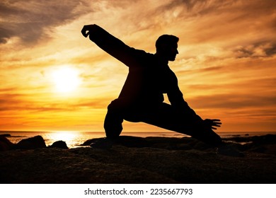 Karate man, silhouette and tai chi with sunset sky on beach horizon for martial arts, taekwondo or fight exercise, training or practice. Art deco of athlete at sea for nature workout and fitness - Powered by Shutterstock