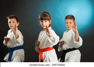  Karate Martial Arts