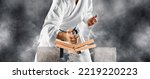 Karate master breaks a wooden board with his hand. Smoke background