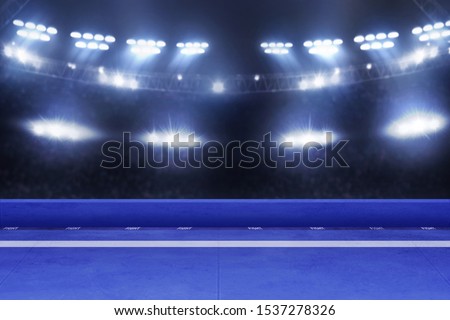 Karate tournament arena, sport concept