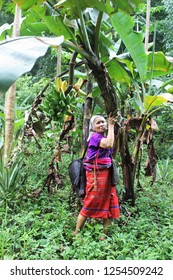 Karen  Tribe In The Middle Of The Forest.  Karen Life On The Mountain. Mae Hong Son, Thailand. 