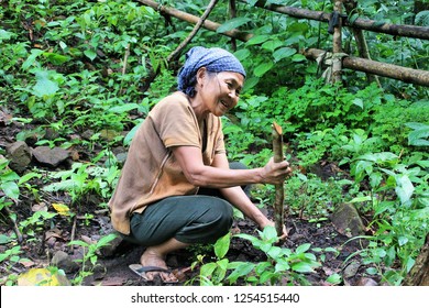 Karen  Tribe In The Middle Of The Forest.  Karen Life On The Mountain. Mae Hong Son, Thailand. 