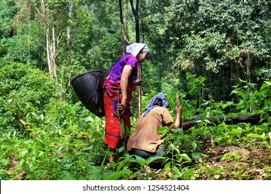 Karen  Tribe In The Middle Of The Forest.  Karen Life On The Mountain. Mae Hong Son, Thailand. 