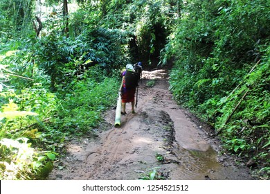 Karen  Tribe In The Middle Of The Forest.  Karen Life On The Mountain. Mae Hong Son, Thailand. 