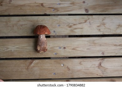 A Karl Johan Mushroom On Wood Background