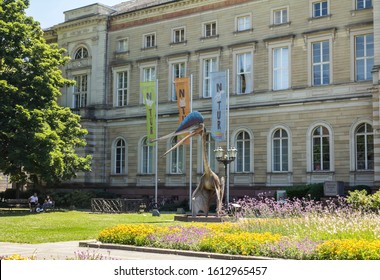 Karlsruhe, Germany - July 4, 2019: Pteranodon Dinosaur Standing In Front Of State Museum Of Natural History Karlsruhe