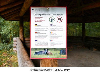 Karlsruhe, Germany - October 2020: Warning And Infomation Sign Regarding African Swine Fever Virus In Multiple Languages In German Forest