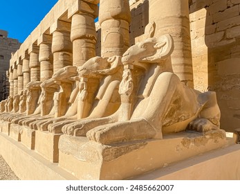 Karnak Temple is dedicated to the temple complex of Ancient Egypt in honor of the god Amun-Ra, his wife Mut and son Khons. Thebes, Karnak, Luxor, Egypt.