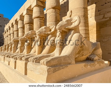 Karnak Temple is dedicated to the temple complex of Ancient Egypt in honor of the god Amun-Ra, his wife Mut and son Khons. Thebes, Karnak, Luxor, Egypt.