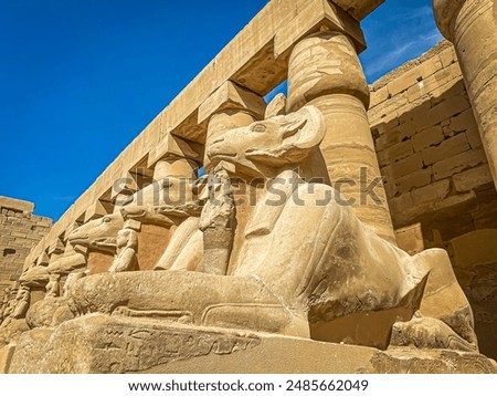 Karnak Temple is dedicated to the temple complex of Ancient Egypt in honor of the god Amun-Ra, his wife Mut and son Khons. Thebes, Karnak, Luxor, Egypt.