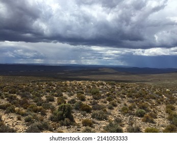 Karoo landscape with small bushes and a rain storm, moody clouds and wind turbines in the distance.