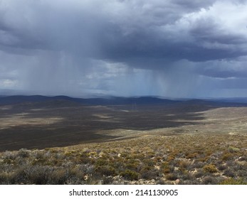 Karoo landscape with small bushes and a rain storm and moody clouds in the distance.