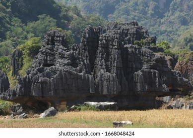 Contoh Kawasan Tanaman Padi Di Batu Caves