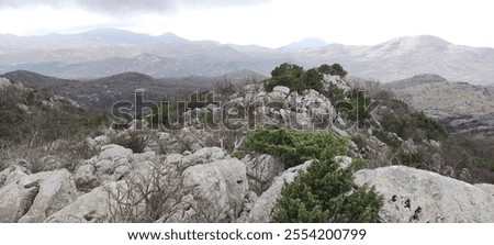 Similar – Image, Stock Photo Vegetation and karst landscape of mountains and islands in the Thien Canh Son area of Ha Long Bay in Vietnam, Southeast Asia