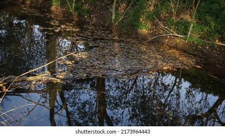 Karst Spring, In The Countryside. Autumn Season