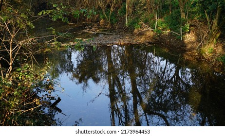 Karst Spring, In The Countryside. Autumn Season