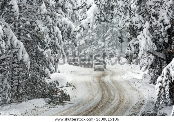 Kartalkaya, Bolu / Turkey - January 01 2020:\
Extreme winter weather and bad driveway with snowfall on a cold\
day. Snow covered trees on the road to Kartalkaya Ski Resort in\
Bolu / Turkey.