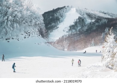 Kartepe, Kocaeli, Turkey - January 1, 2022: People snowboarding downhill in the ski trails. People skiing and snowboarding freestyle in the ski resort. Winter sports leisure activities. Extreme sports