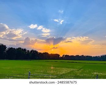 Kashmir India. Sunset over the rice fields reflected in the water beautiful landscape view - Powered by Shutterstock