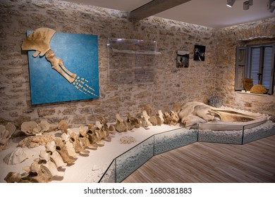KASTOS,GREECE-August,2019:Marine Museum exposition of remains of the fin whale's entire vertebrate column, ribs and fins bones -Balaenoptera physalus, also known as finback whale or common rorqual.
