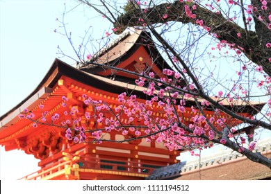 Kasuga Taisha Shrine At Nara In Japan