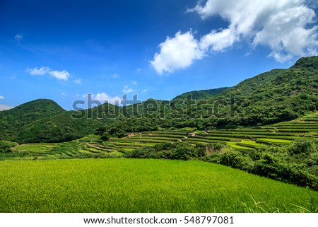 kasuga tanada, terraced rice field in Hirado, Nagasaki, Japan