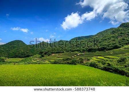 kasuga tanada, terraced rice field in Hirado, Nagasaki, Japan