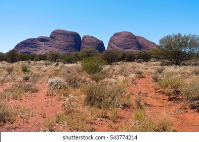 Kata Tjuta Domes And Desert Flora In Uluru Kata Tjuta National Park Of Northern Territory Australia