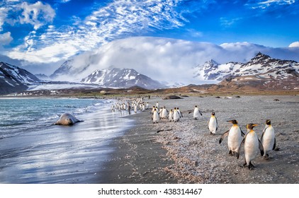 Katabatic winds encroach on St. Andrews Bay on South Georgia