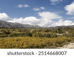 Katharo Plateau, (Katharos Plateau) near Kritsa, Eastern Crete, Greece, Europe