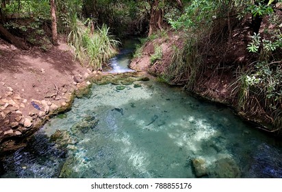 Katherine Hot Springs, Katherine, Northern Territory, Australia