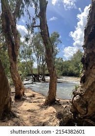 Katherine River In Northern Territory, Australia