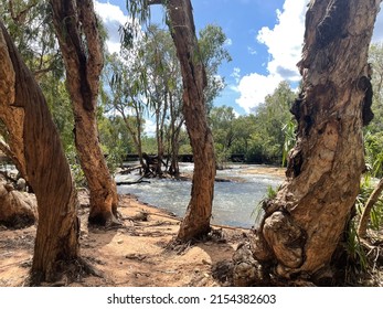 Katherine River In Northern Territory, Australia