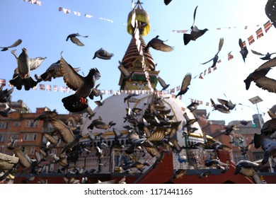 Kathmandu, Nepal - September 4 2018: Pigeons take flight around a Buddhist Stupa located in Kathmandu, the capial of Nepal.