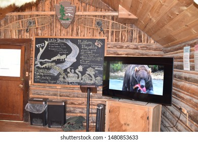 Katmai National Park, Alaska. U.S.A. June 26, 2019. Visitor’s Center, Book Store And Bear Etiquette Class.  Learning The DO’S And DON’T Of Interacting With Ursus Arctos>Alaska’s Coastal Brown Bears 