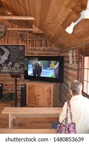 Katmai National Park, Alaska. U.S.A. June 26, 2019. Visitor’s Center, Book Store And Bear Etiquette Class.  Learning The DO’S And DON’T Of Interacting With Ursus Arctos>Alaska’s Coastal Brown Bears 