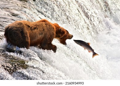 Katmai National Park Brooks Falls