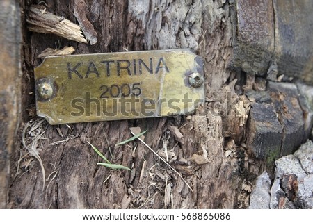 Katrina memorial stamped brass sign in a tree