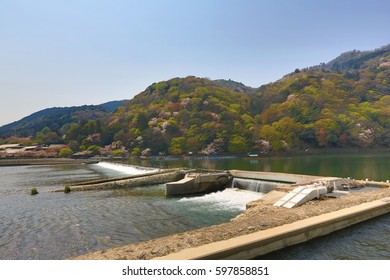 Katsura River At Spring Time 