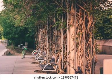 Katy Trail In Dallas, TX